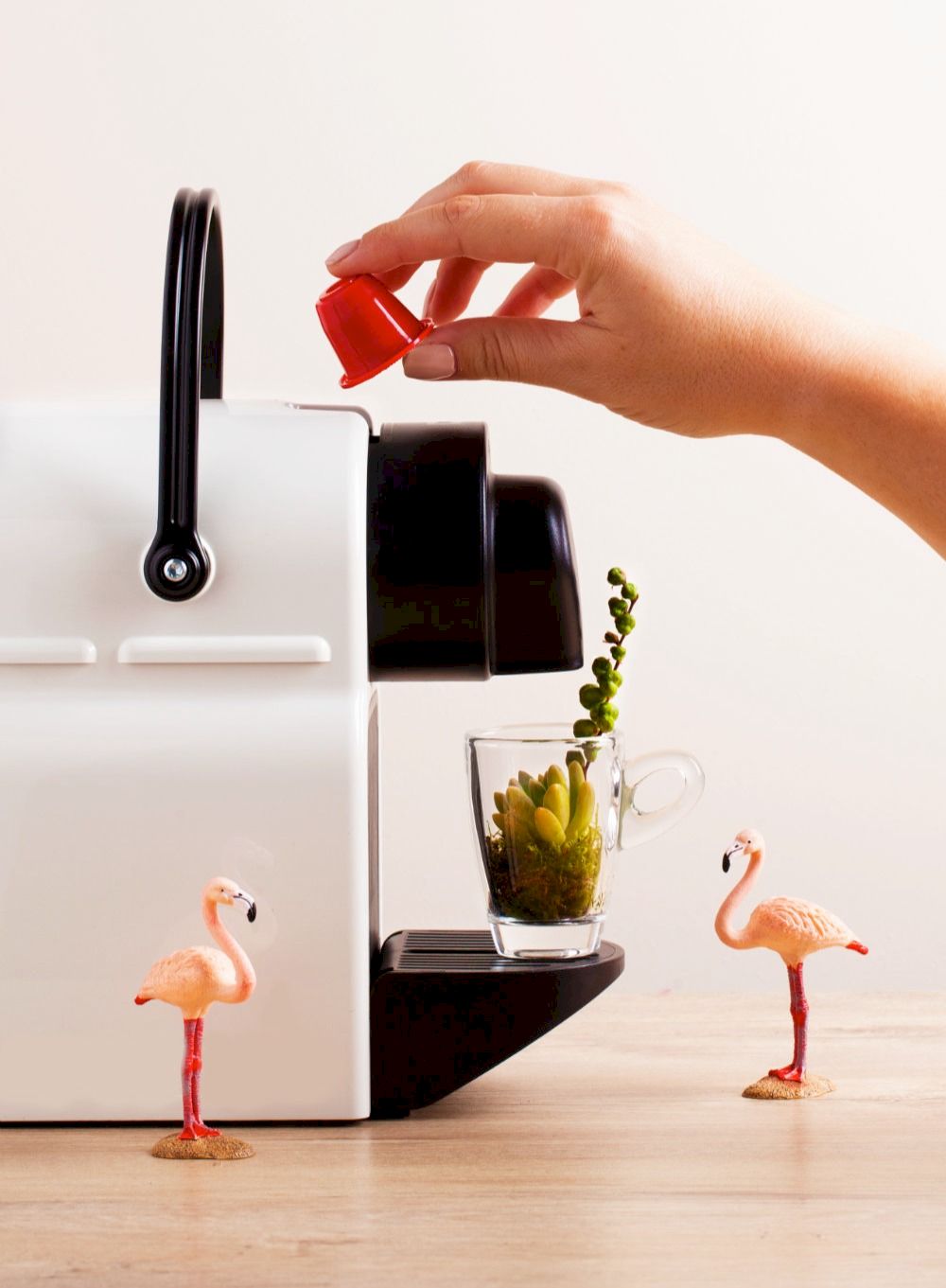 Notre gamme de cafés compatible Junglespresso