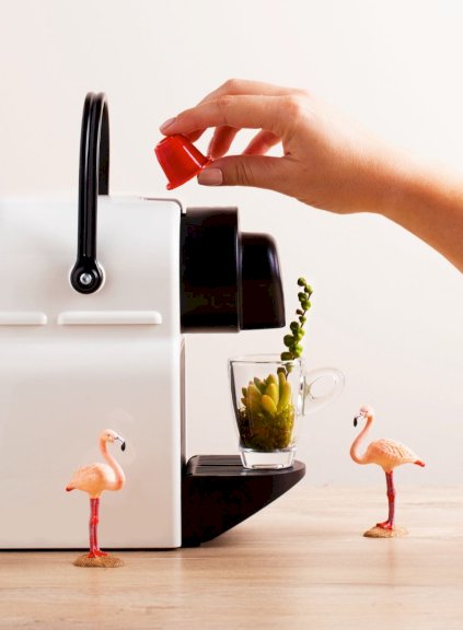 Notre gamme de cafés compatible Junglespresso Notre gamme de cafés compatible Junglespresso