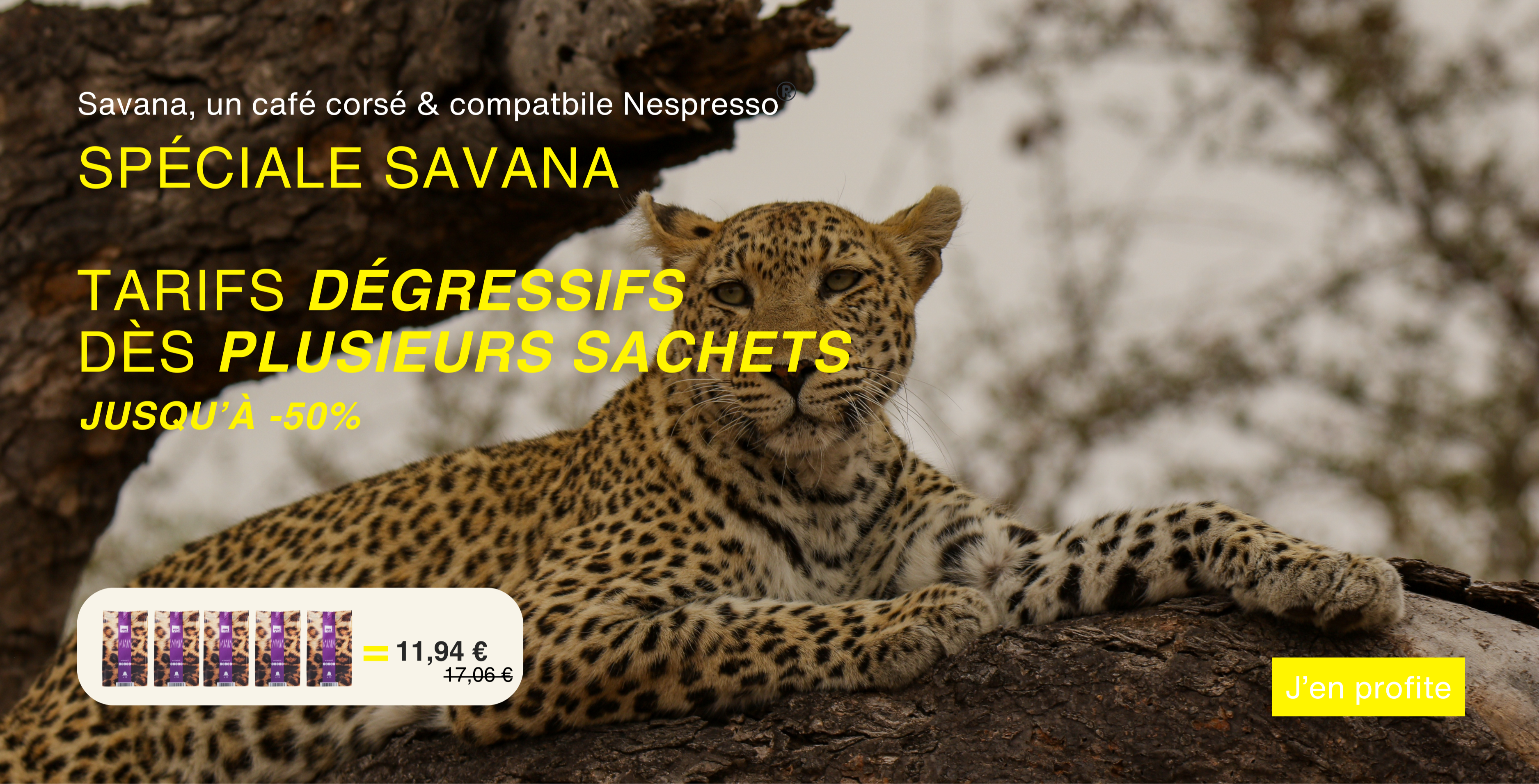 Savana