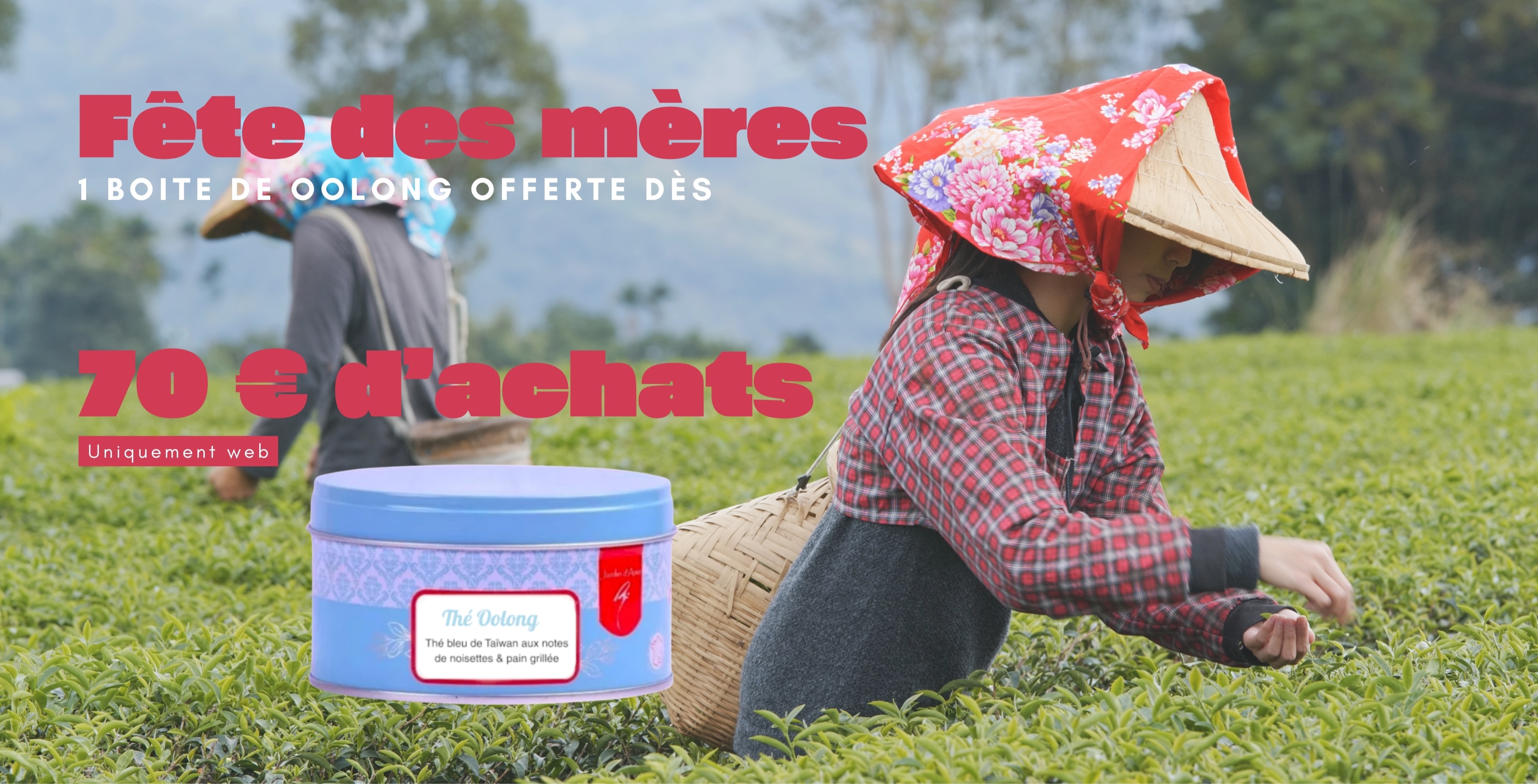 1 boite de Oolong dès 70 euros d'achats