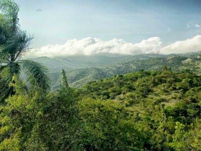 Voyage en République Dominicaine, une île aux notes de café