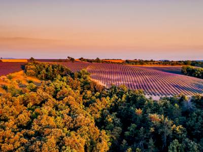 L’Automne en Provence : pourquoi on est fan de cette saison ?
