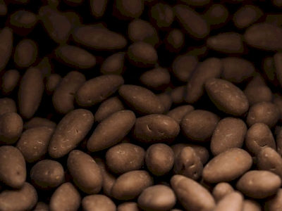 Chocolats : les différents types et les formes idéales pour chaque occasion !