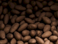 Chocolats : les différents types et les formes idéales pour chaque occasion !