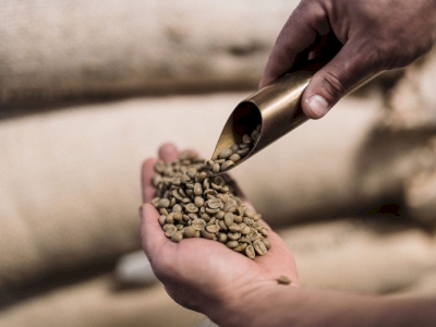 Nos cafés torréfiés et assemblés en Provence