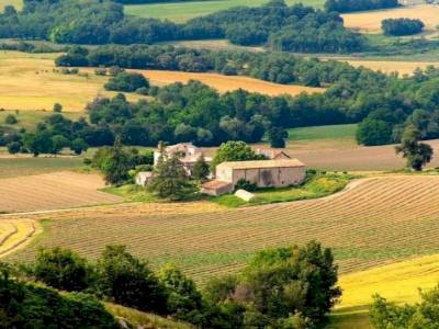 Pique-niques en Provence : pour ravir vos pupilles et vos papilles !