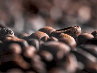 Le monde dans un grain de café : des origines au XVIIème siècle