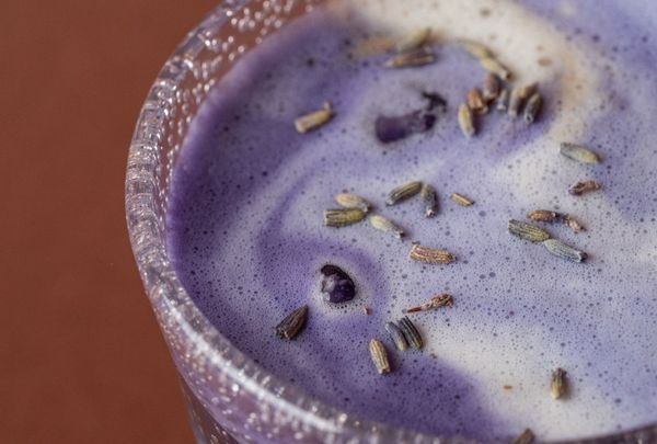 <div class="menu-title" >Actualités latte