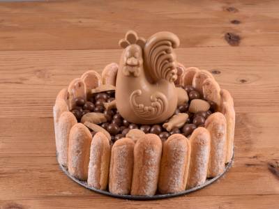 Charlotte de Pâques au chocolat noisette !