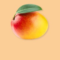 Mangue Mangue