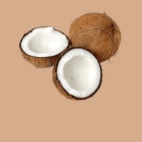 Noix de coco Noix de coco