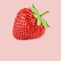 Fraise Fraise