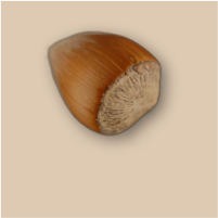 Noisette Noisette