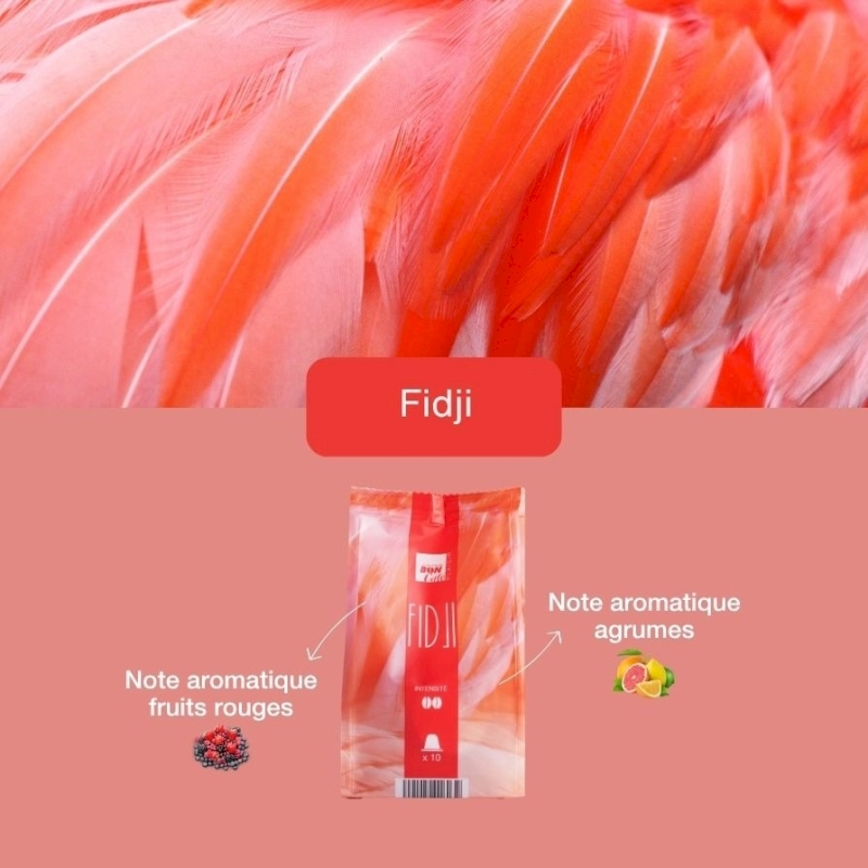 Café Fidji Café Fidji