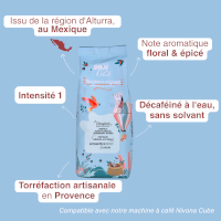 Décaféiné Mexique 