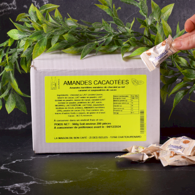 Amandes cacaotées