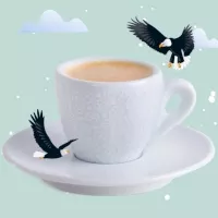 Café Noir Ebène®