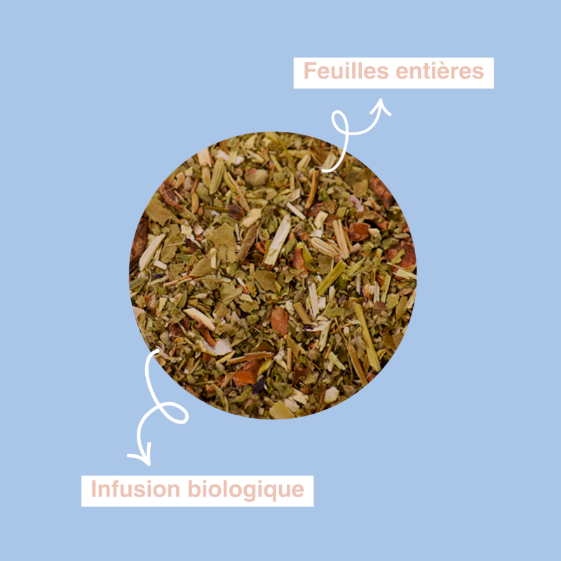 Cézanne | Infusion Trésor Anisé bio 