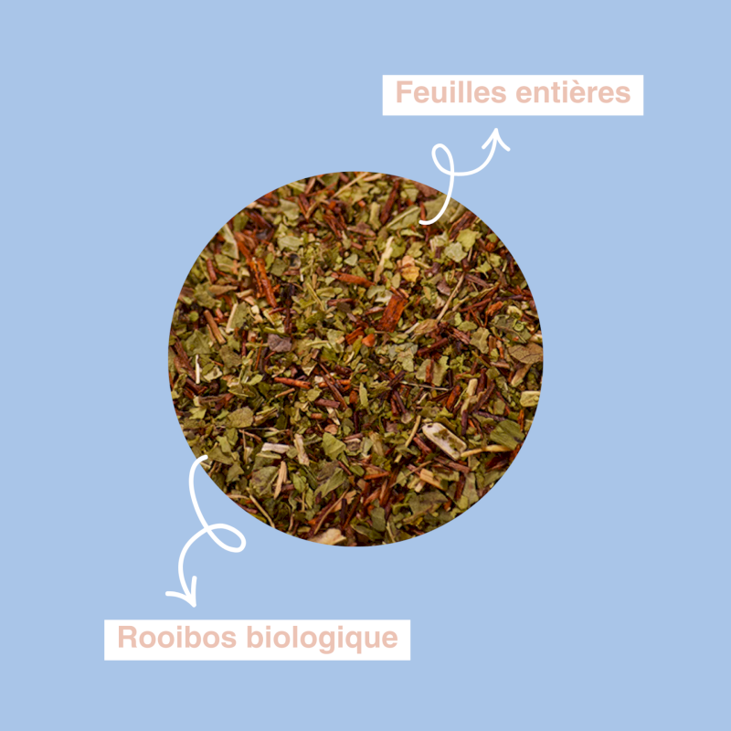 Cézanne | Infusion Lou Mazet bio