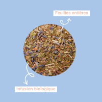 Cézanne | Infusion Méditerranée 