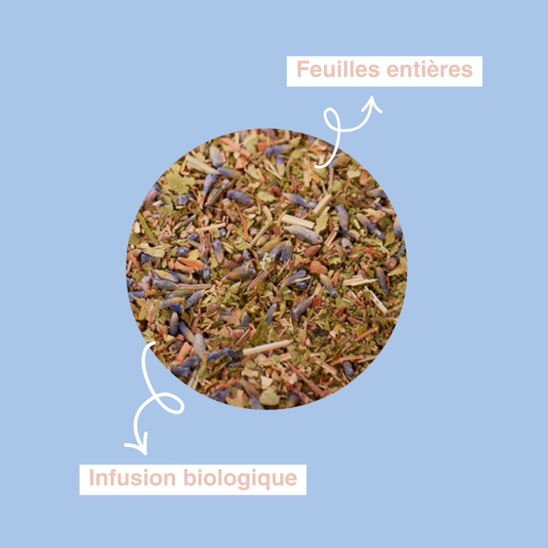 Cézanne | Infusion Méditerranée 