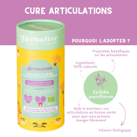 Cure Articulation Herbaflor
