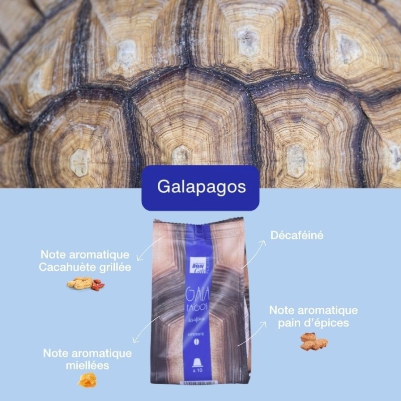 Café Galapagos