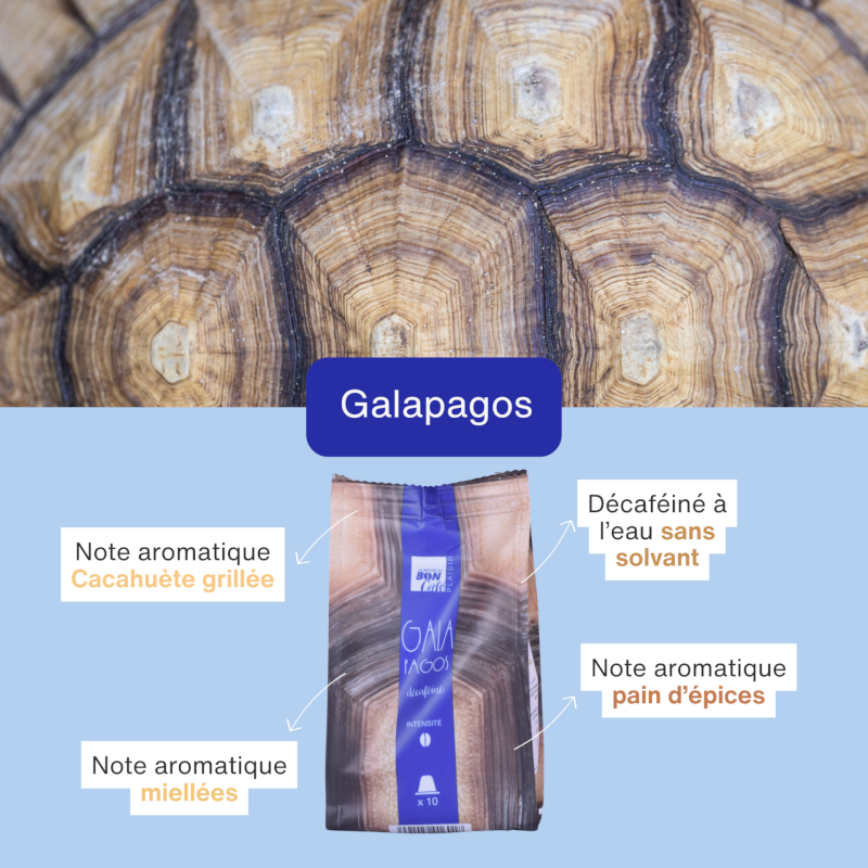 Café Galapagos