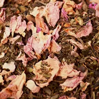 Cézanne | Thé vert Lou Mistral bio