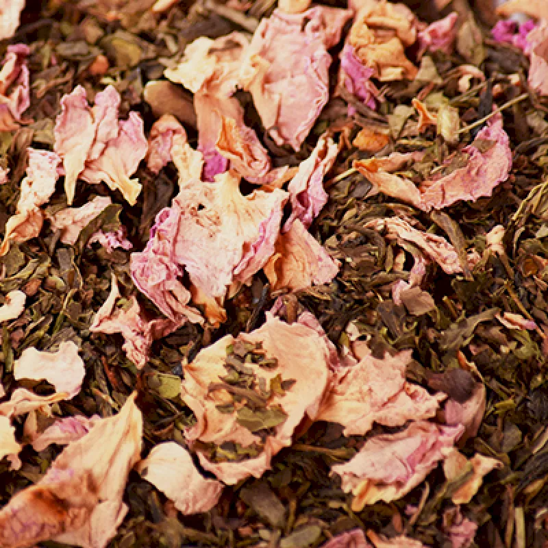 Cézanne | Thé vert Lou Mistral bio