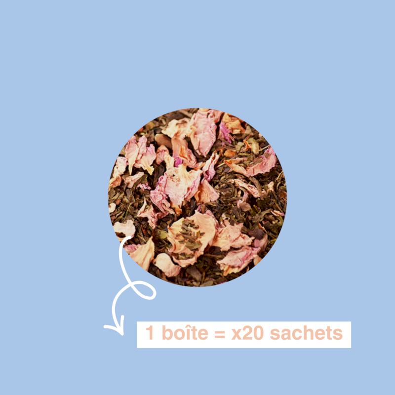 Cézanne | Thé vert Lou Mistral bio