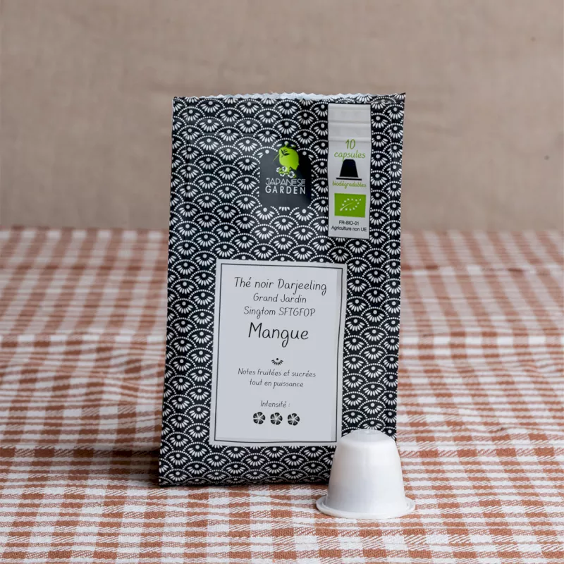 Thé vert Mangue bio
