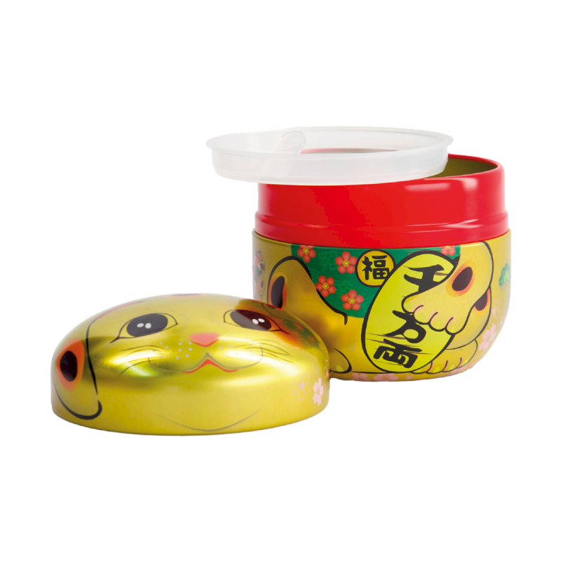 Tokyo boîte Lucky Cat