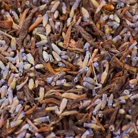 Cézanne | Thé vert Jasmin bio