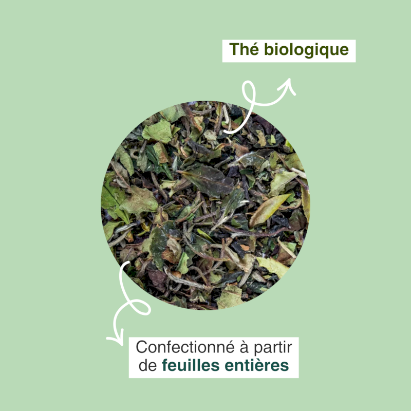 Thé blanc bio Bai Mu Dan