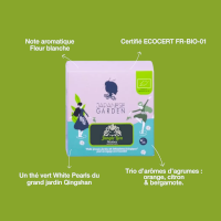 Thé vert bio Toundra