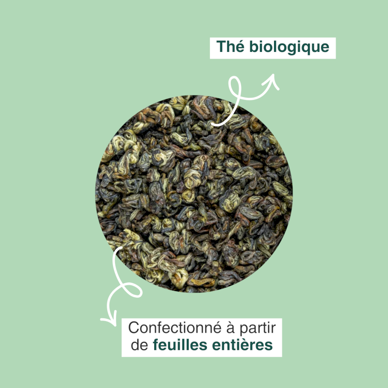 Thé vert bio Toundra