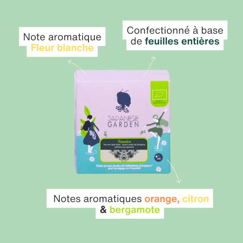 Thé vert bio Toundra