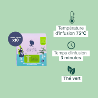 Thé vert bio Mango Mambo