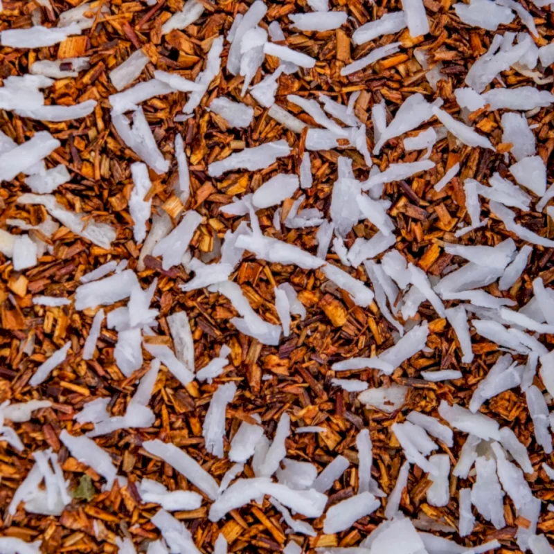 Rooibos bio coco Jungle Lion