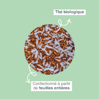 Rooibos bio coco Jungle Lion