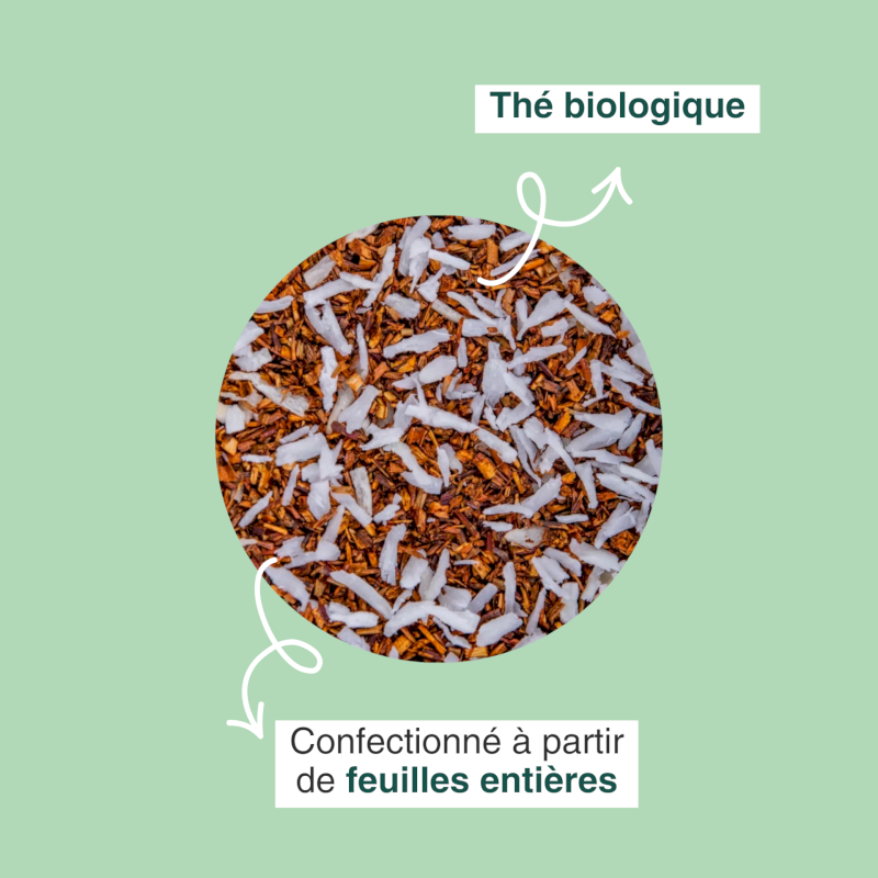 Rooibos bio coco Jungle Lion