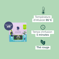 Rooibos bio coco Jungle Lion