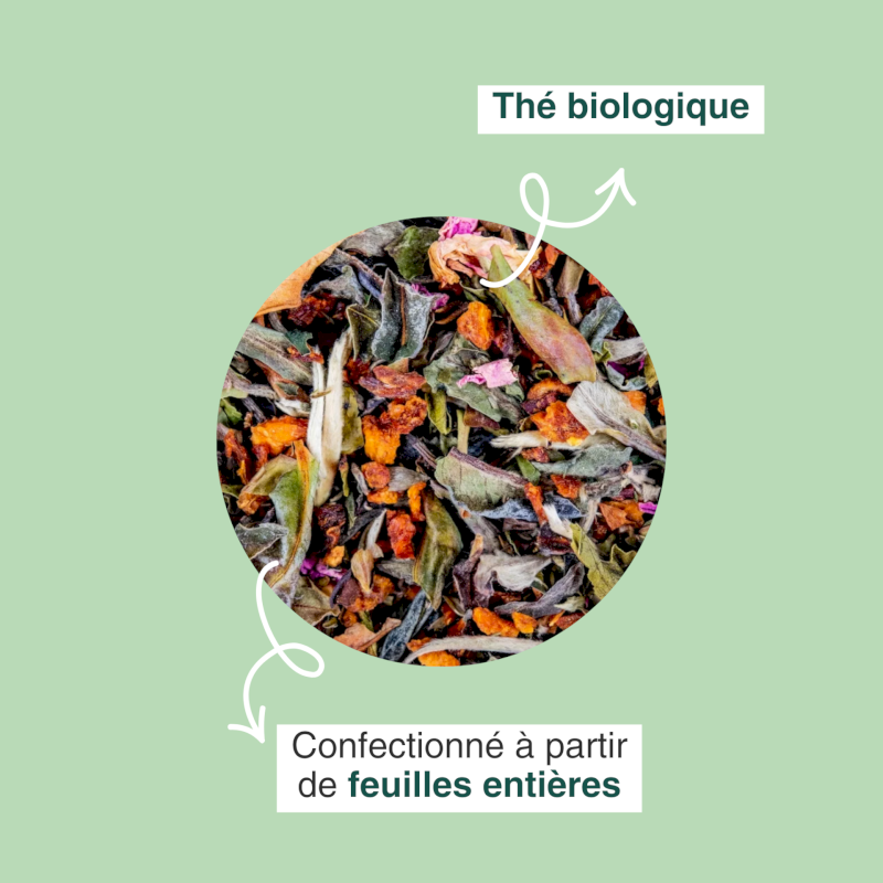 Thé blanc bio Saint Rémy