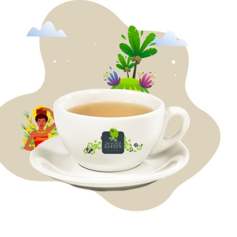 Capsule de Rooibos bio noix de coco