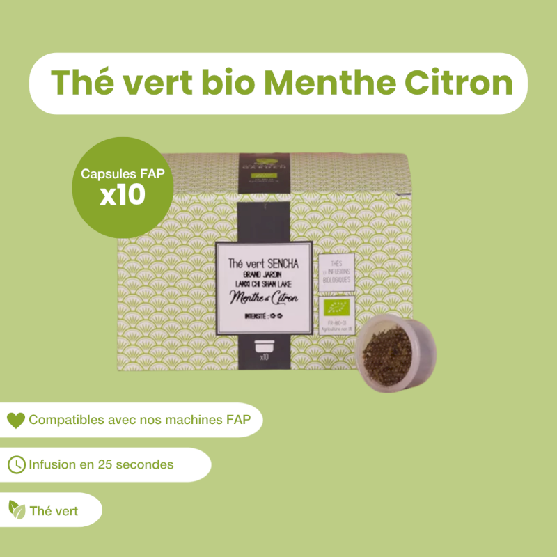Capsule de thé vert bio Menthe Citron