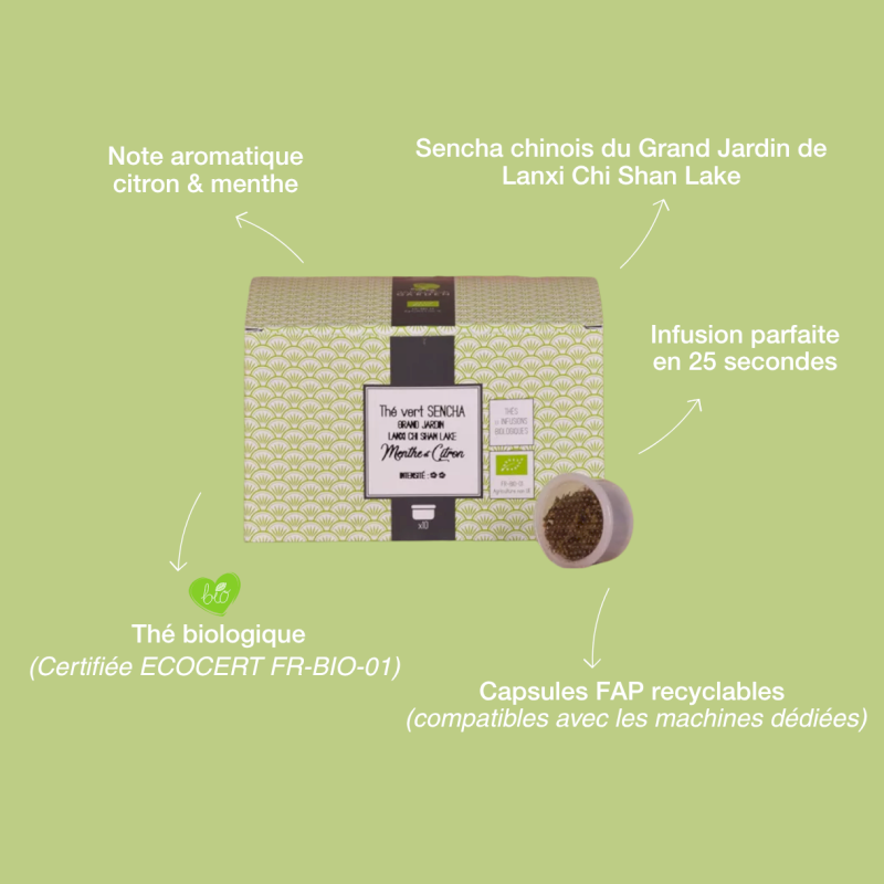 Capsule de thé vert bio Menthe Citron
