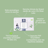 Capsule de thé vert bio Menthe Citron