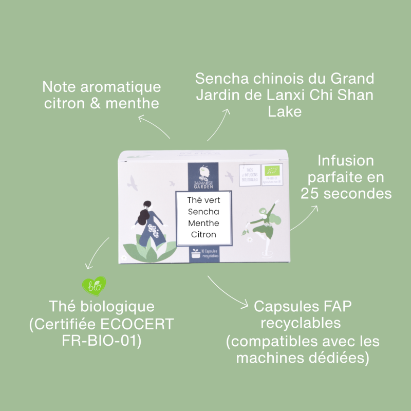 Capsule de thé vert bio Menthe Citron