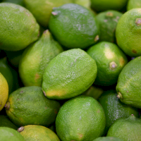 Sirop brut Lime biologique 